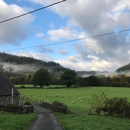 베투스 이 코이드 Tyddyn Bach Barn 빌라 외부 사진